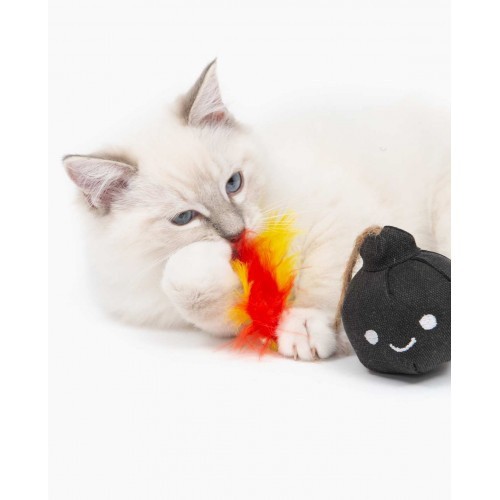Gato de Pelúcia Pirata da Catit Play Bomba