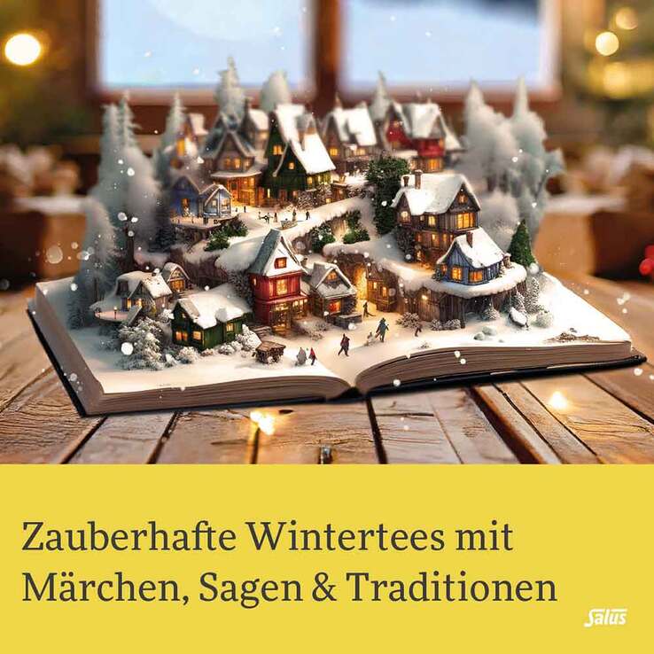 Schneekönigin Früchte-Gewürztee Bio Salus Fbeutel , 15 St