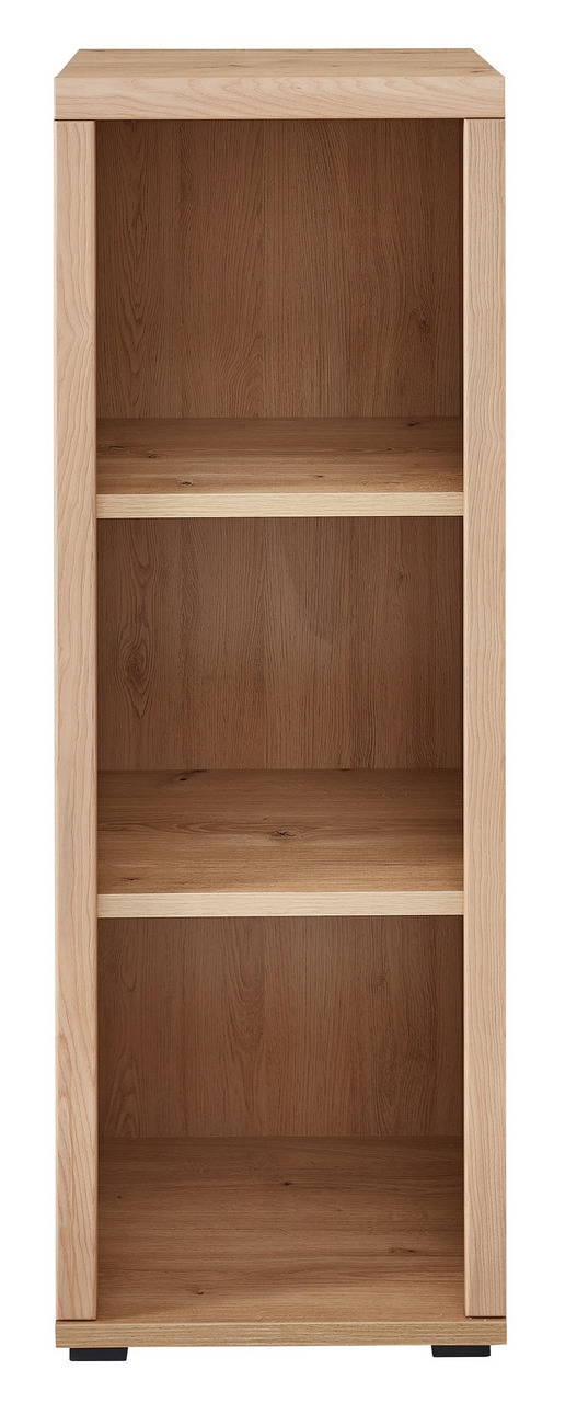 Linea Natura Aktenregal schmal/niedrig SONOS