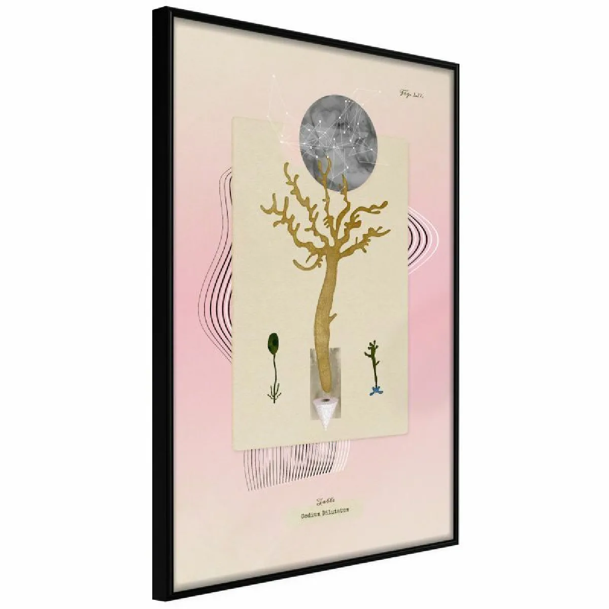 Paris Prix Affiche Aquatic Plant