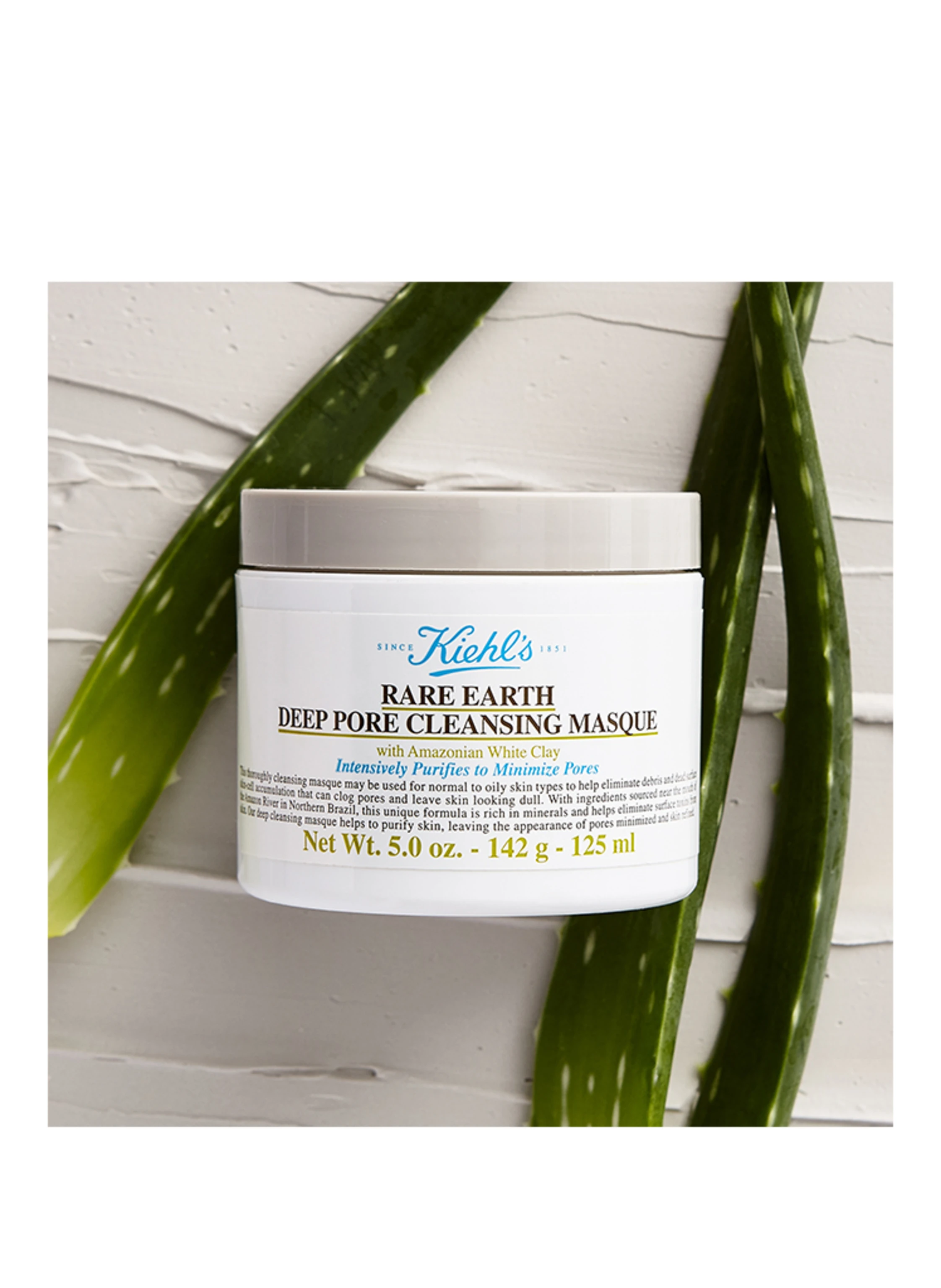 Kiehl's RARE EARTH DEEP PORE CLEANSING MASQUE
