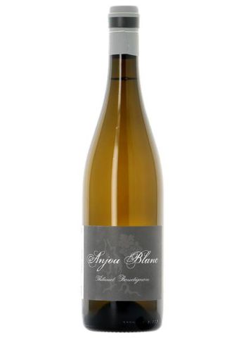 Anjou Blanc - Thibaud Boudignon