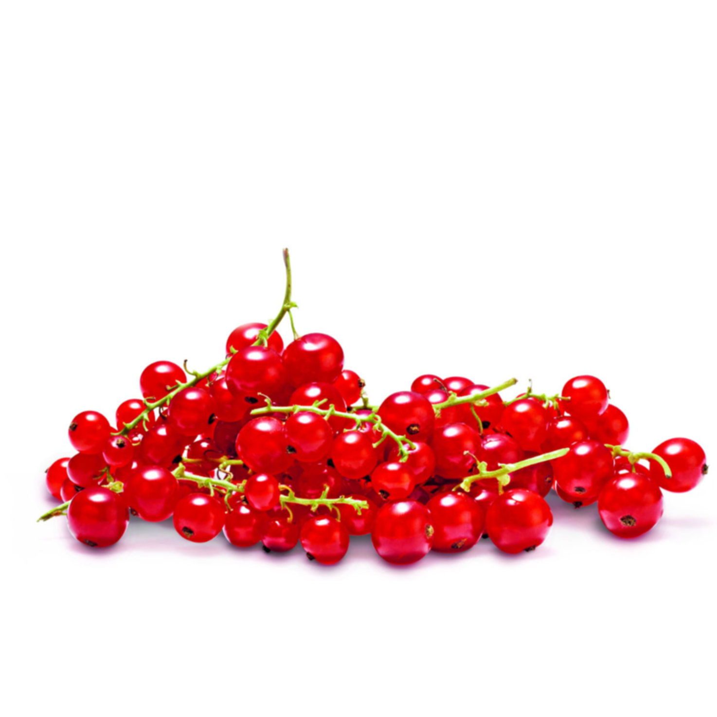 Johannisbeeren -