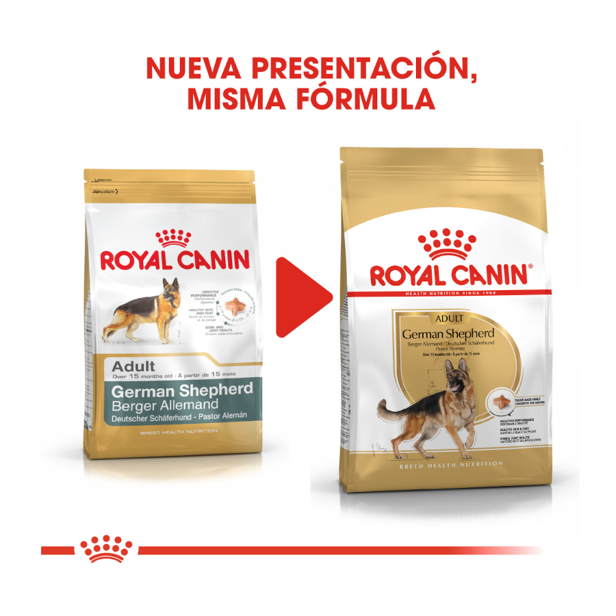 Ração Royal Canin para cães adultos da raça Pastor Alemão