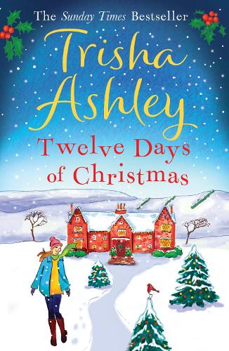 Twelve Days of Christmas (Paperback)