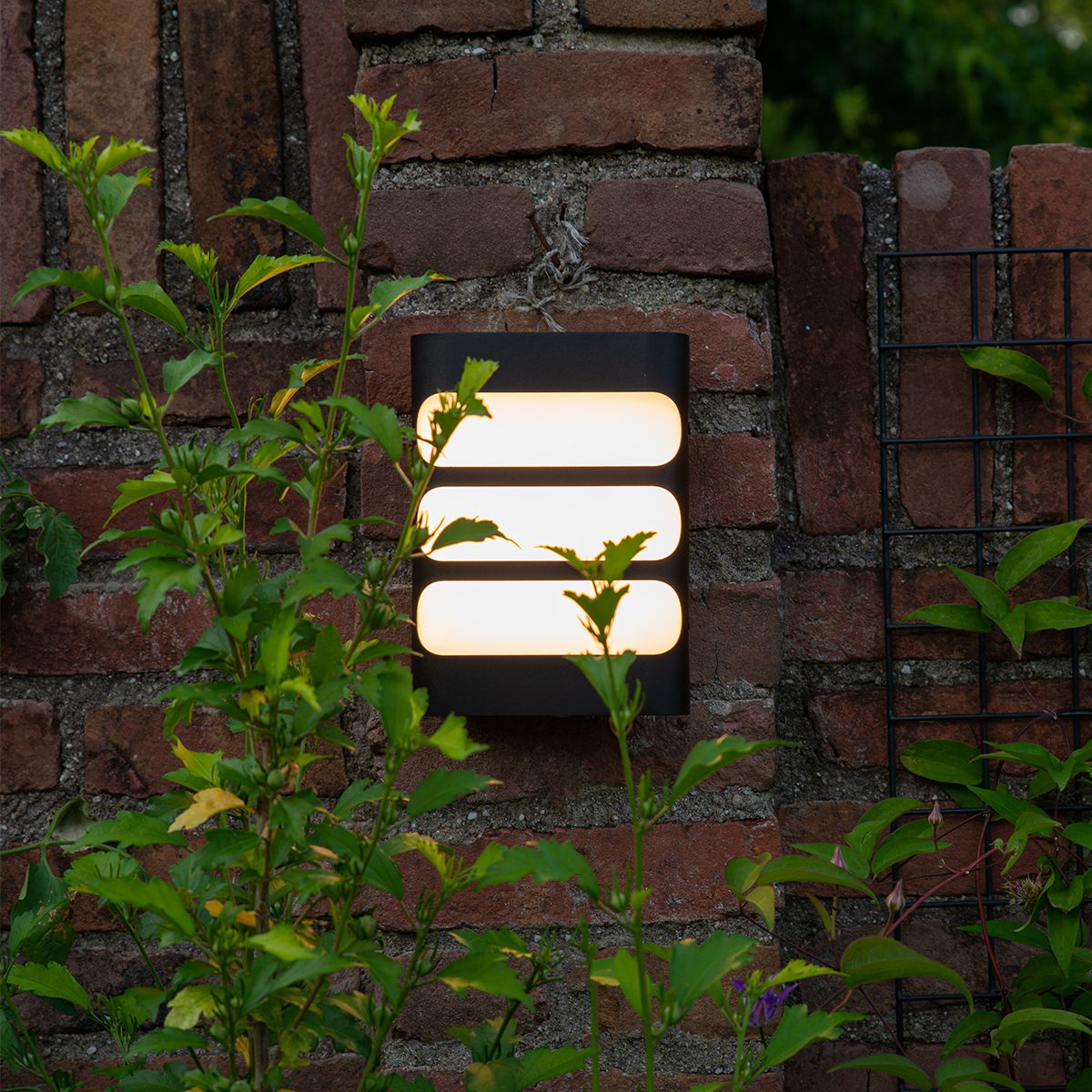 Moderne wandlamp zwart incl. LED IP44 - Gaev