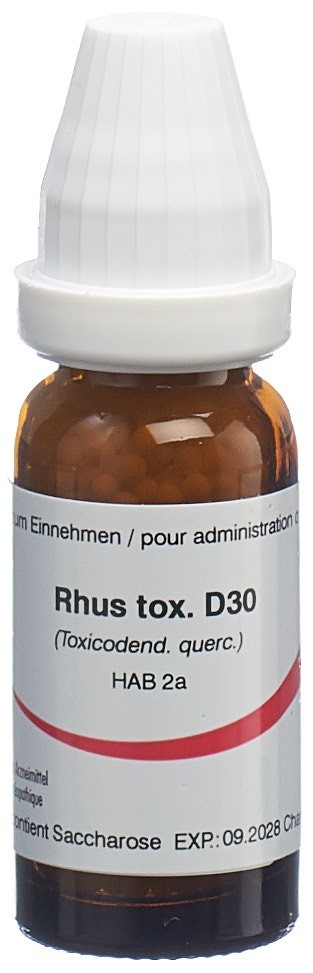 Omida Rhus toxicodendron Glob 30 D 14 g