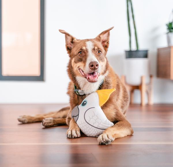 Red Dingo Hundespielzeug DURABLES Toys Kakadu