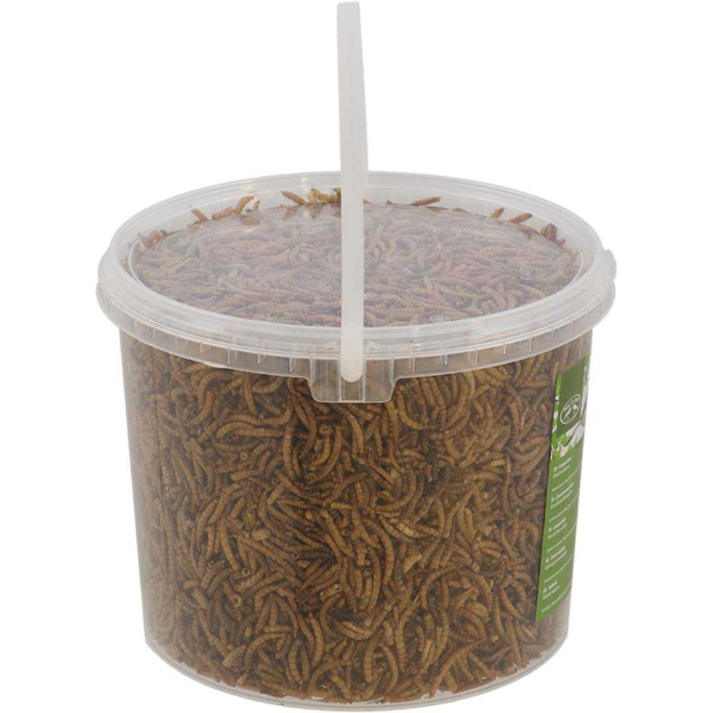 Vers de farine séchés en seau600 gr