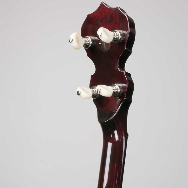 Deering Eagle II 5-String A/E