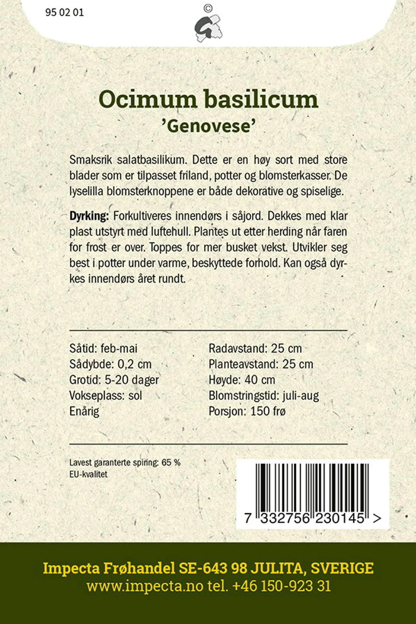 Ocimum basilicum 'Genovese' Storbladet basilikum 'Genovese'