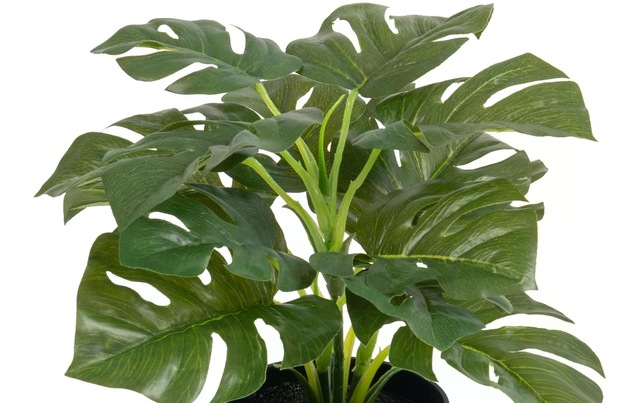 Botanic-Haus Kunstblume »Philodendron im Topf 28 cm«