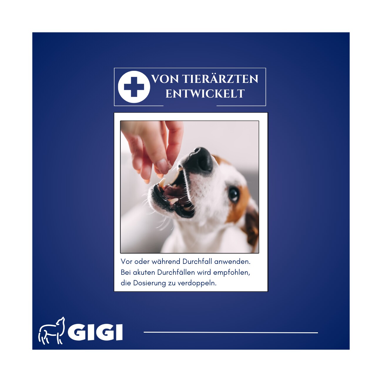 GIGI VET Magen & Darm Komfort Für große Hunde 30 Stück