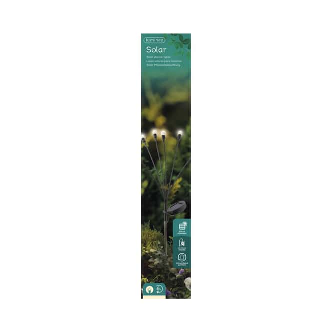 Solar Pflanzenbeleuchtung - Gartenstecker - warmweiß - ca. 70 cm hoch