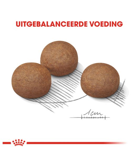 Royal Canin Digestive Care Maxi - Hondenvoer