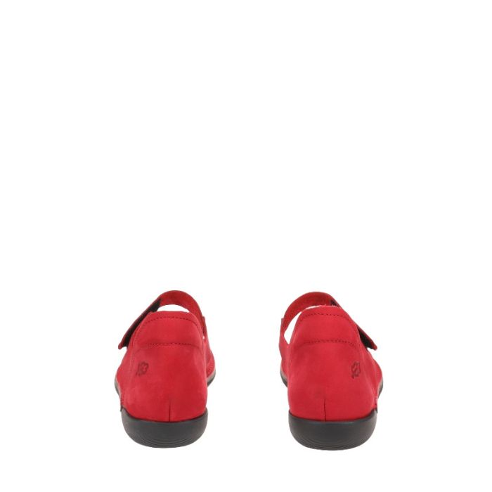 Notter - Outlet