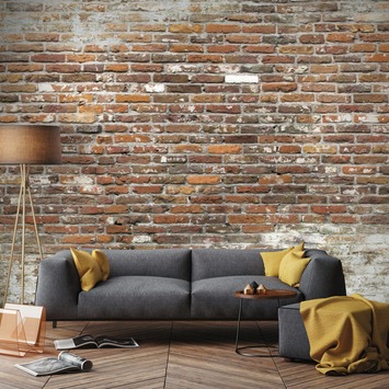 Fotobehang Brick wall 2 (105416)