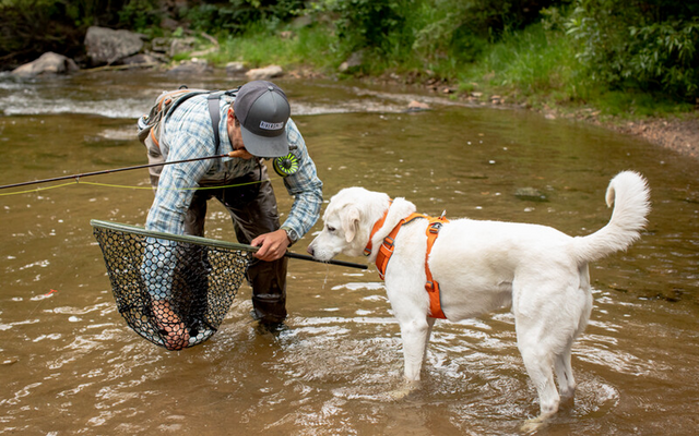 Ruffwear Front Range gepolstertes Hundegeschirr