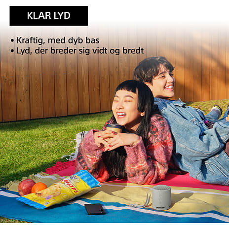 Sony XB100 trådløs BT højttaler - lysegrå