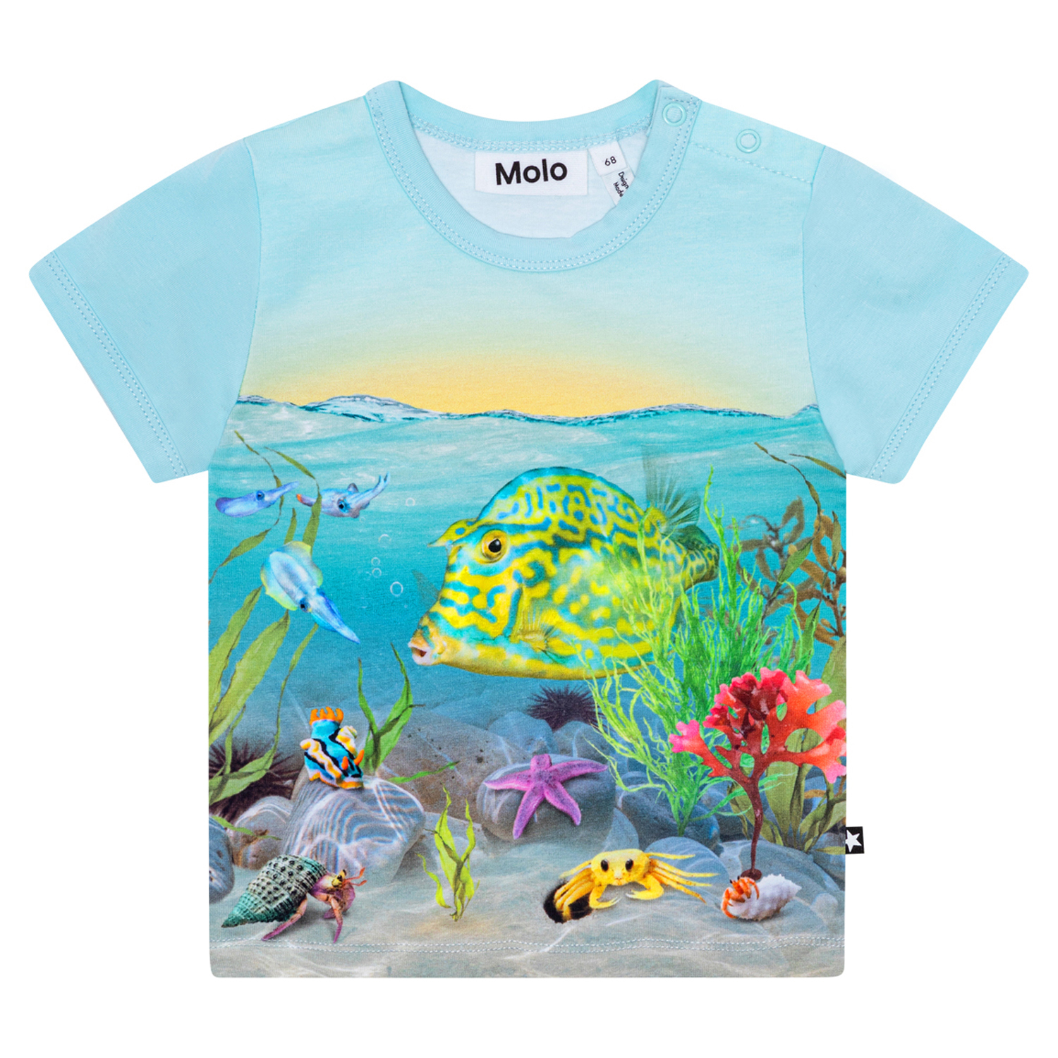 Easy - Tropic Sea T