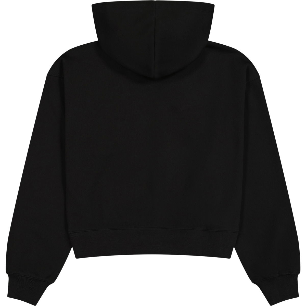 Champion Tonal C Logo Hættetrøje Dame