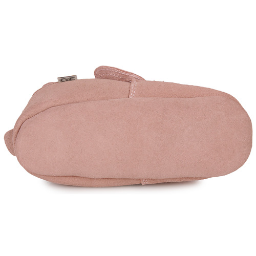 Citrouille et Compagnie - CARAMI - Rose