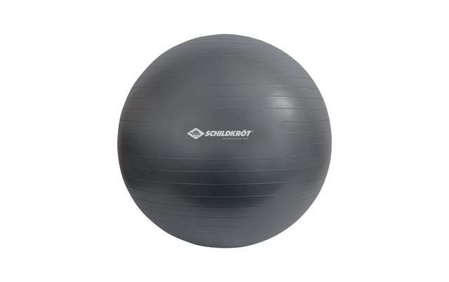 Schildkröt-Fitness Gymnastikball »Gymnastikball 85«
