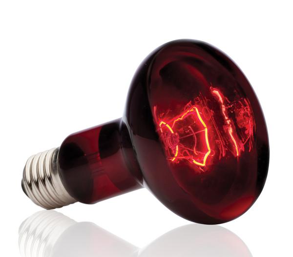 Exo Terra® Infrared Basking Spot