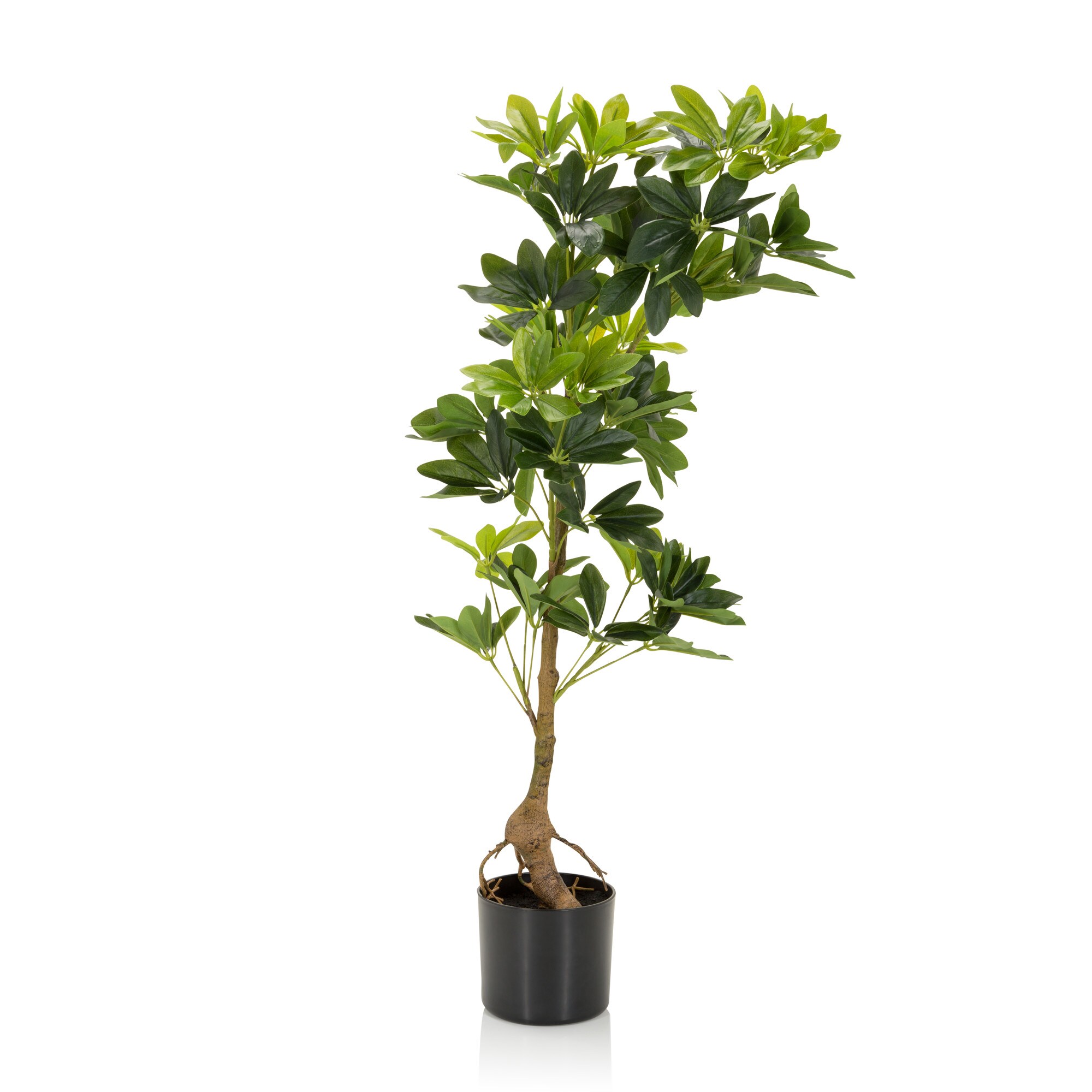 Kunstpflanze SCHEFFLERA Kunststoff, Stoff hjh OFFICE