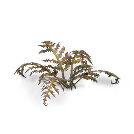 Gamer Grass Basis Gestaltung Pflanzen Dry Bracken Farn, 26er Packung