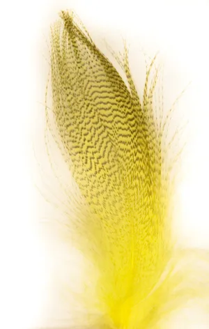 Wapsi Mallard Barred Flank