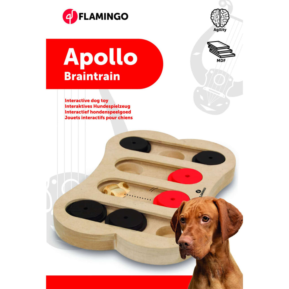 Jouet d'entraînement cérébral apollo 30x20 cm bois