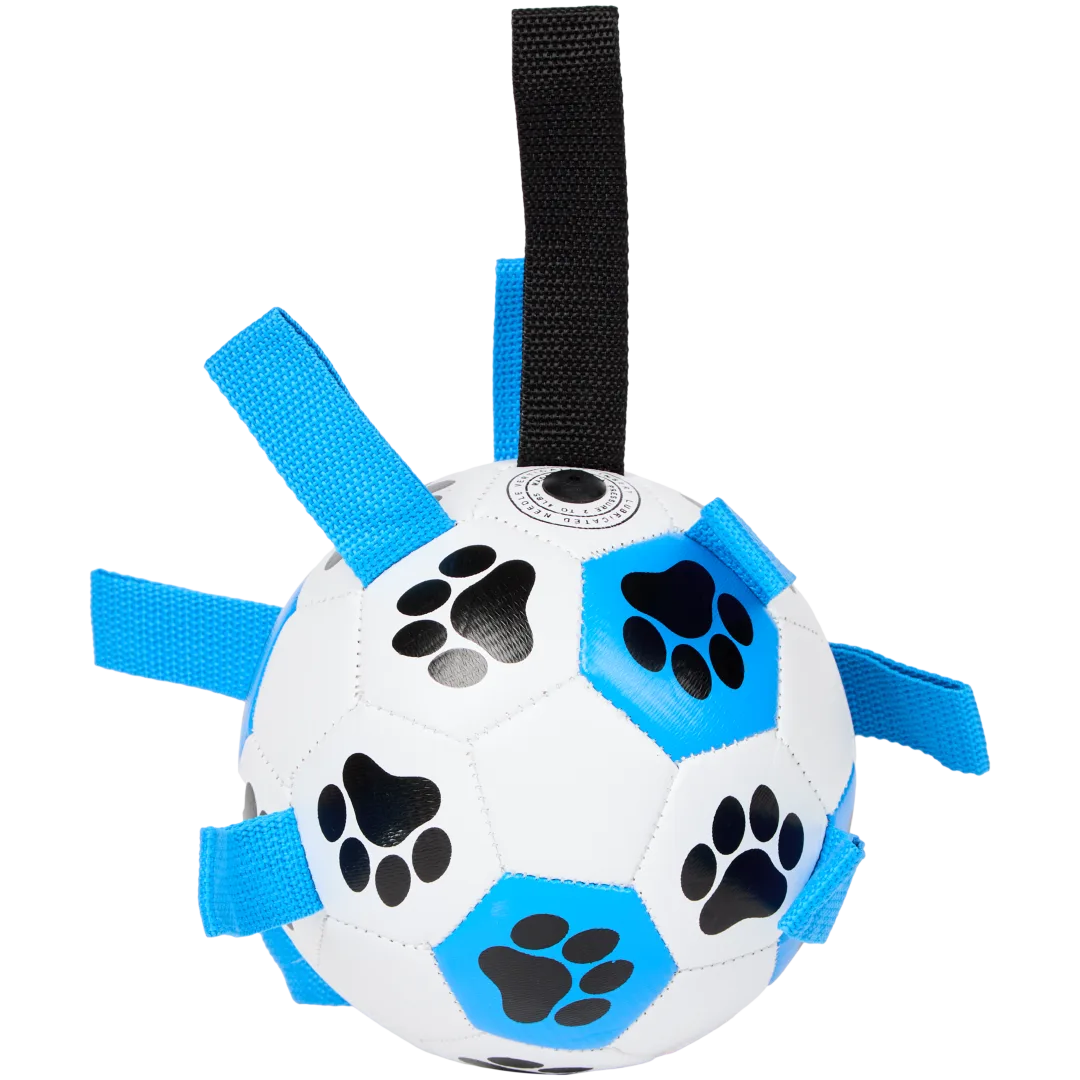 Balle à jouer pour chien