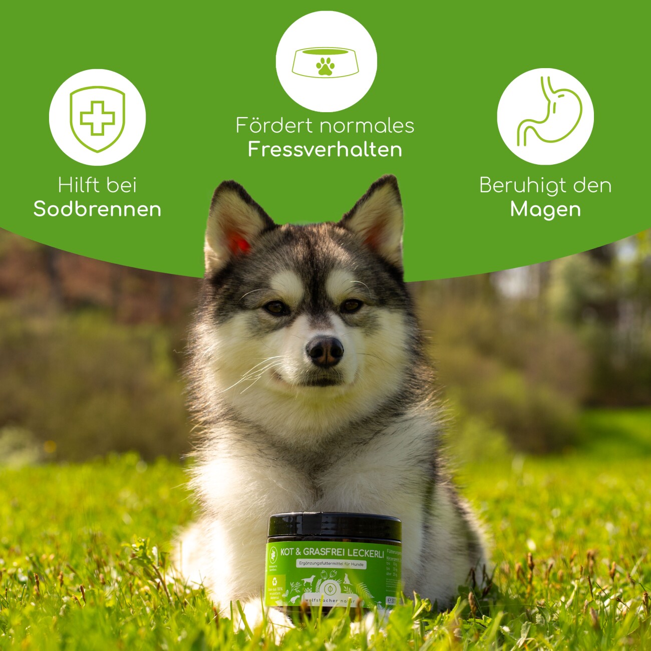 Wolfsbacher Natur Kot & Grasfrei Leckerli