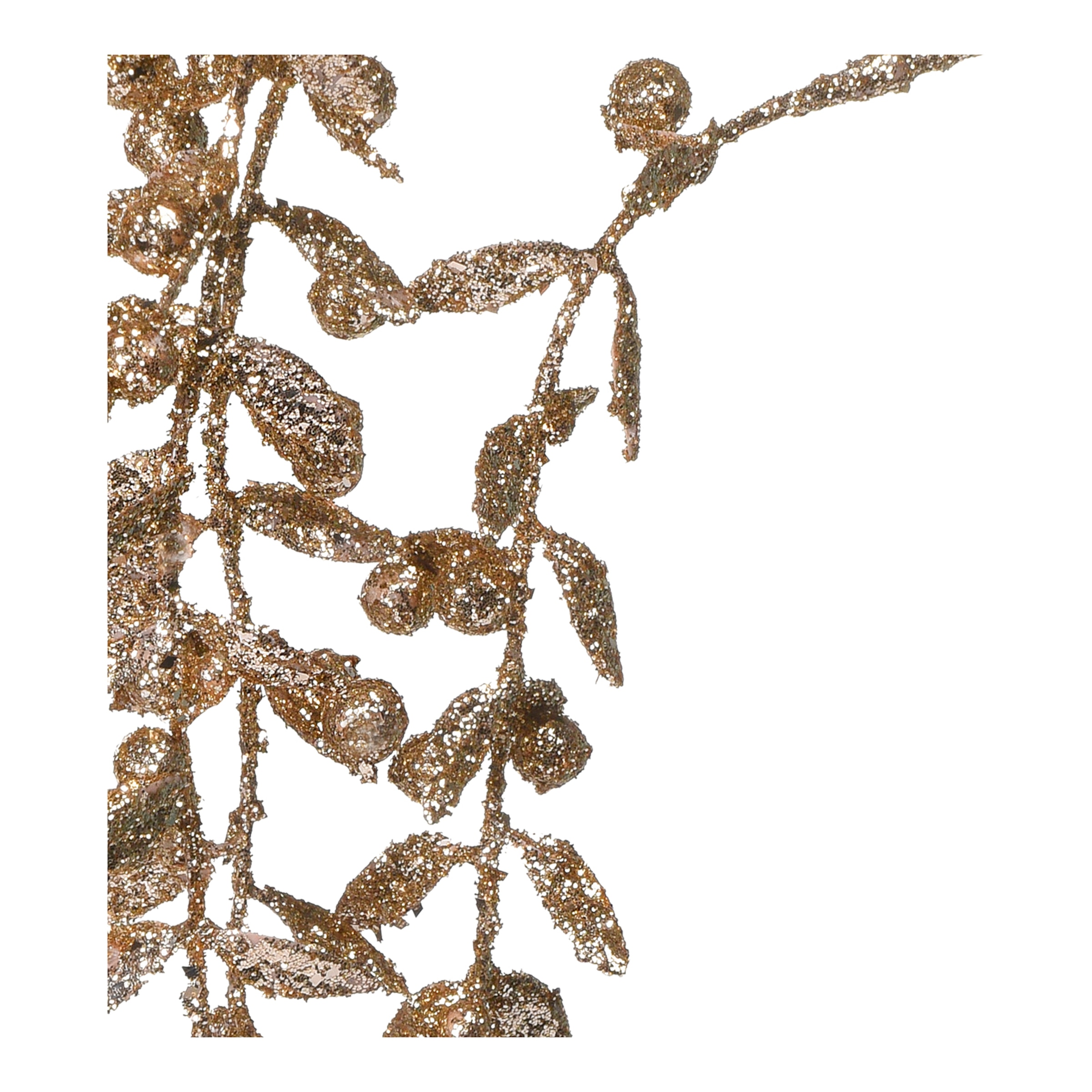champagne, L 121 cm