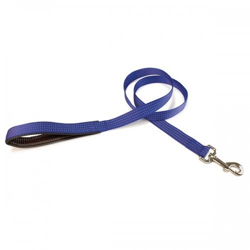 Guia de nylon simples para cães, azul