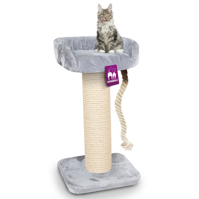 Petrebels The Rebels Maine Coon 100 Kratzbaum Grau