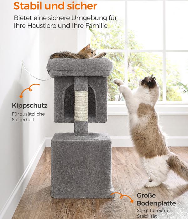 Feandrea Kratzbaum mit zwei Höhlen M, ca.