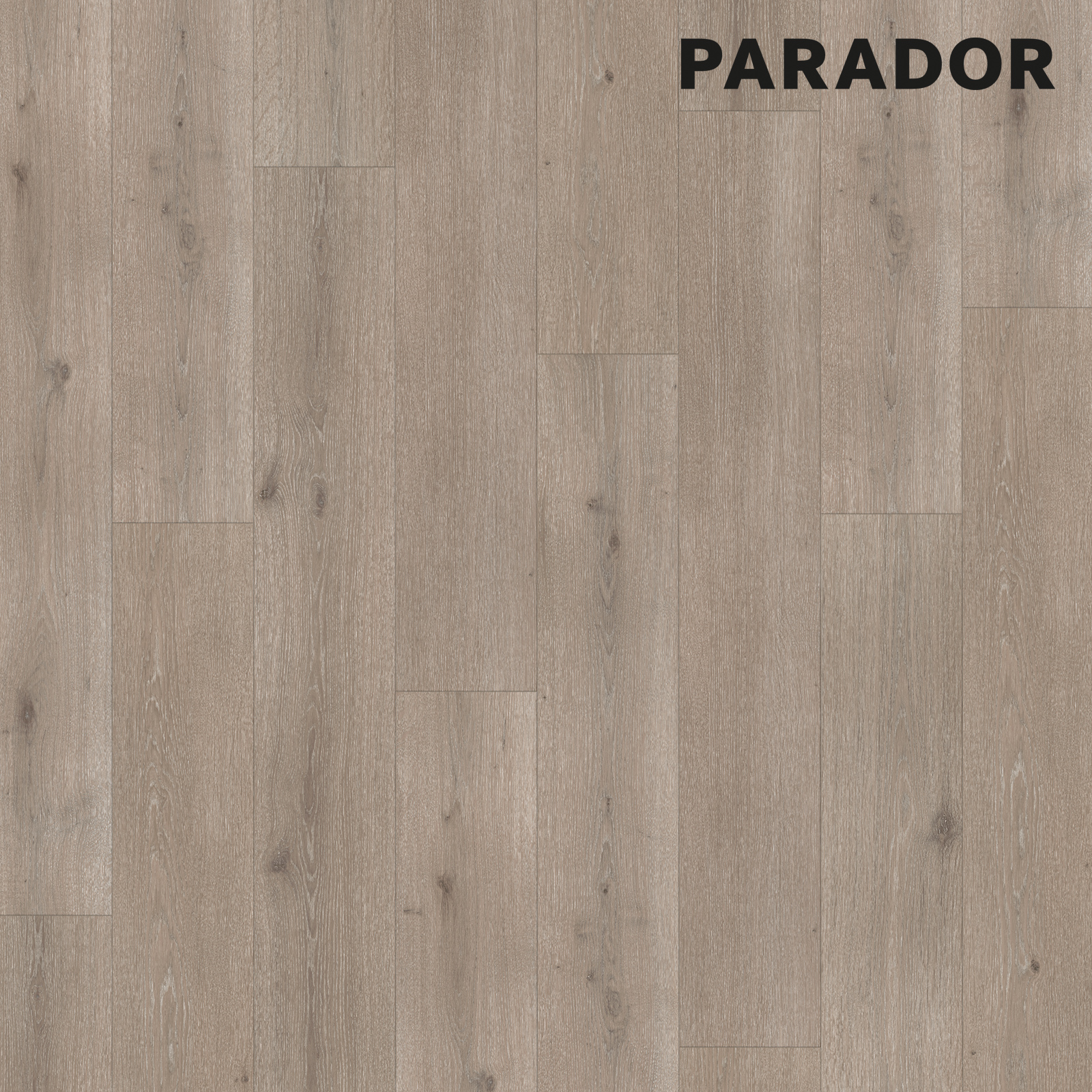 PARADOR Designboden MODULAR ONE - Eiche Urban grau gekälkt - 8 mm