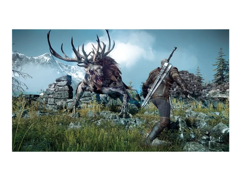 The Witcher 3 Wild Hunt - Game Of The Year Edition - PlayStation 4