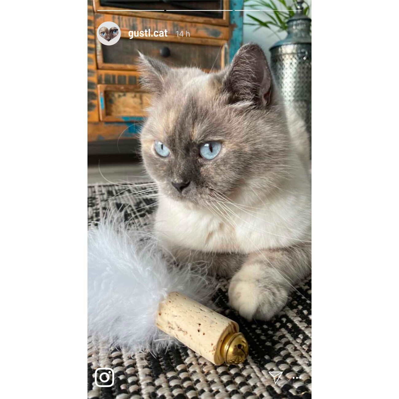 Kater Kasimir Federball mit echten Naturfedern