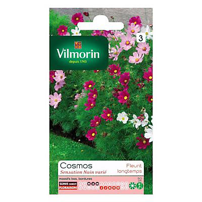 Graines de Cosmos Sensation Nain