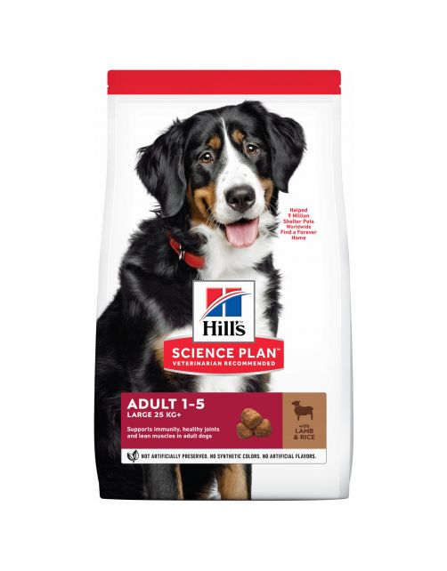 Hill's Canine Adult Large Breed Lam&Rijst - Hondenvoer
