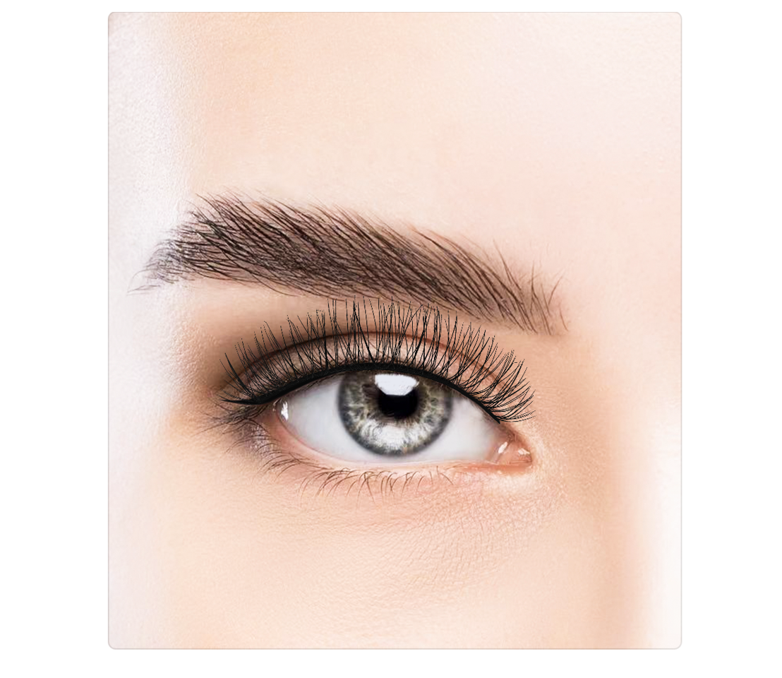 Dashy - Treasure Faux Lash