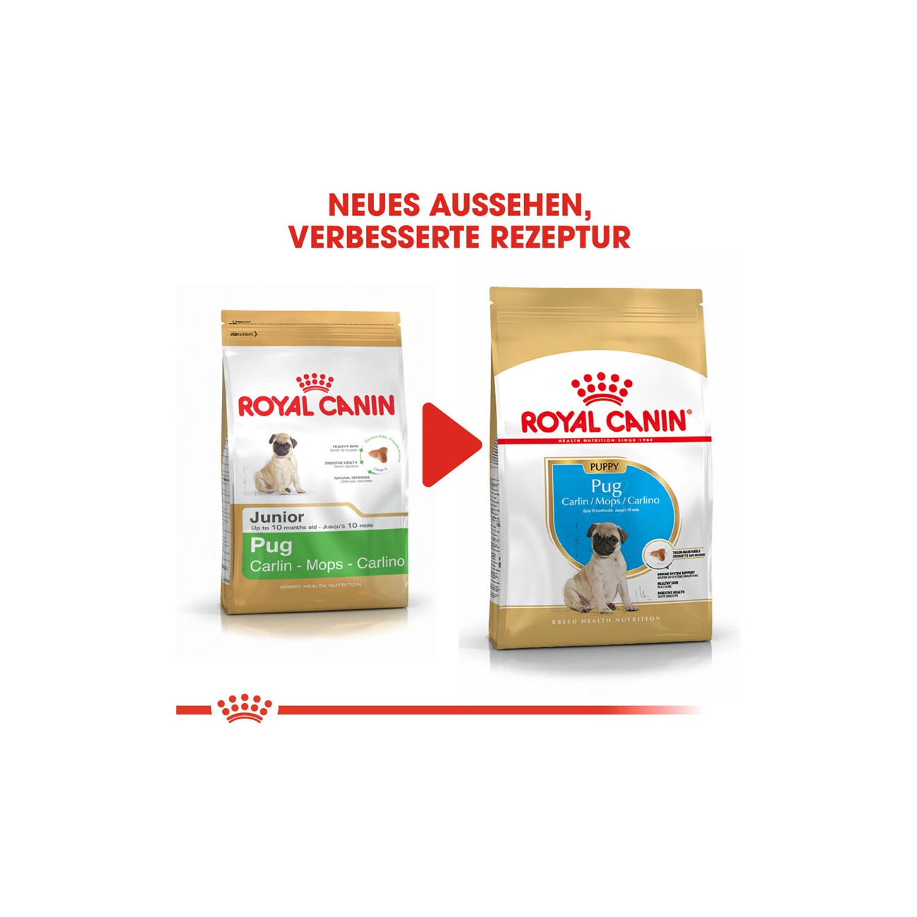 ROYAL CANIN Mops Puppy 1,5 kg