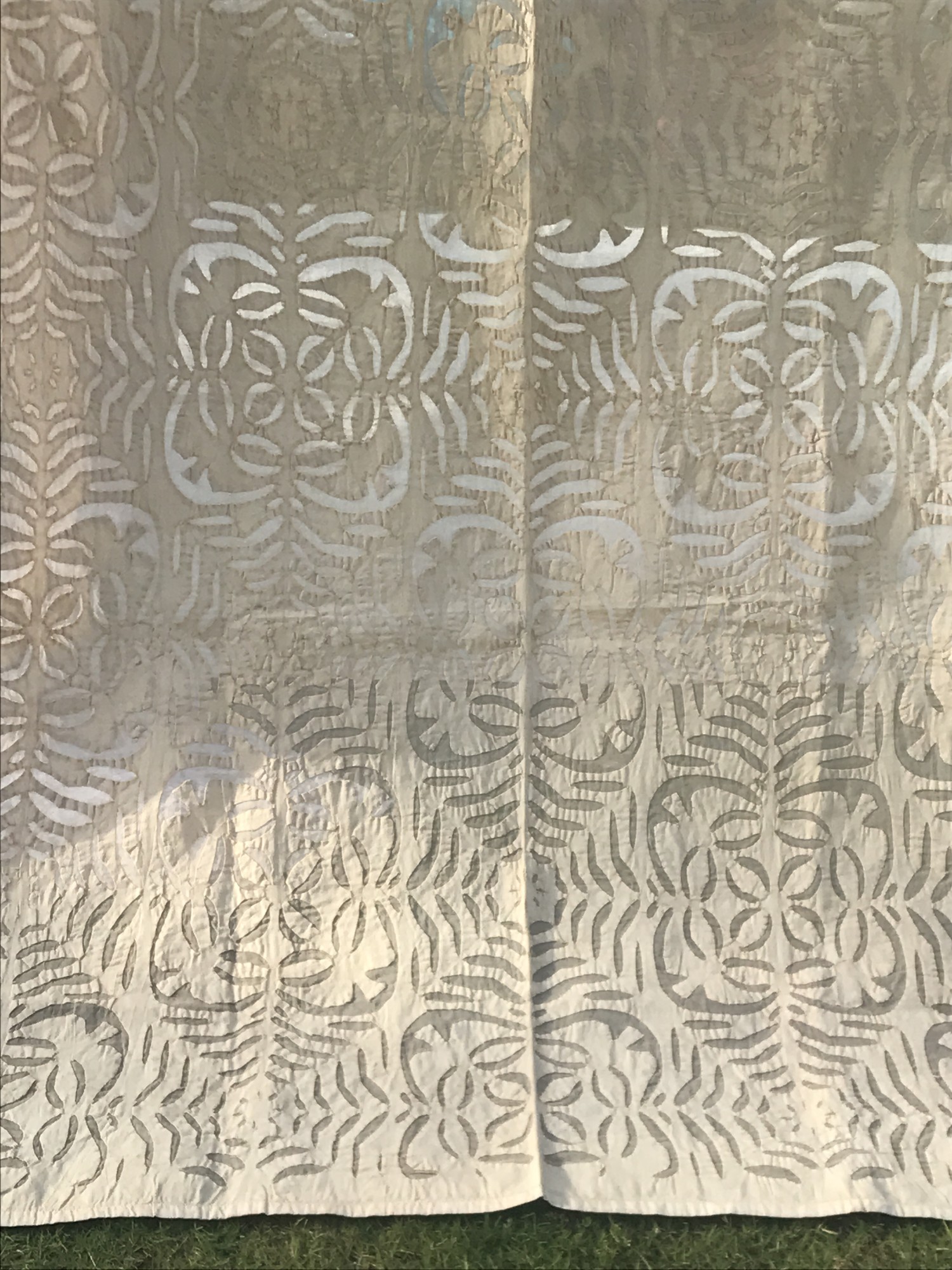 Vorhang 'Avaran', 5 Schlaufen, B 110 cm, H 230 cm von fischer's lagerhaus