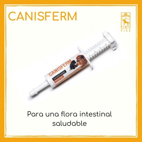 Pino Laboratories Canisferm para melhorar a flora intestinal em cães.
