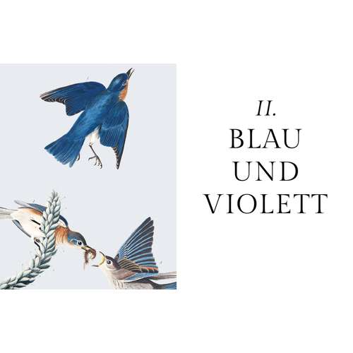 Die Farben der Natur