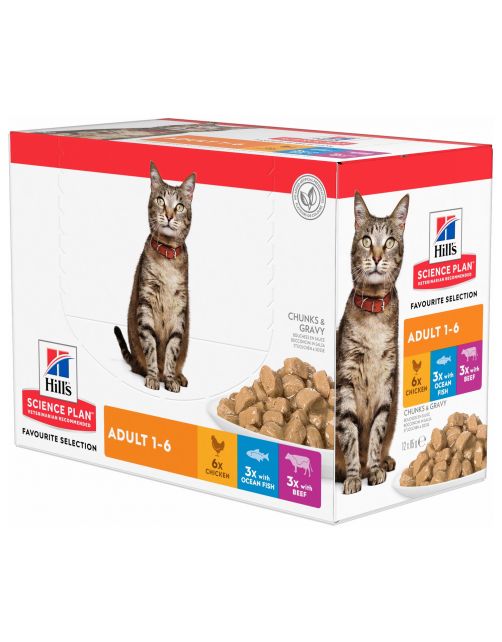 Hill's Feline Maaltijdzakjes Adult Multipack - Kattenvoer - Mix Rund Zeevis 12x85 g