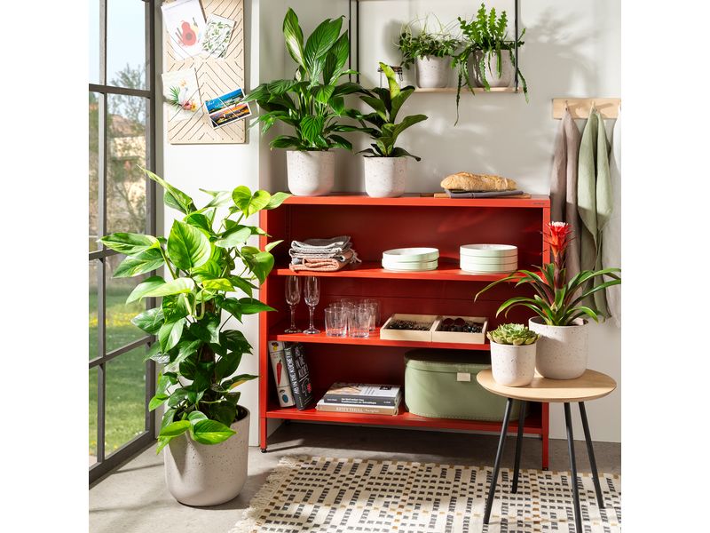 scheurich Blumentopf Basalto 12.9 cm, Grau Übertopf
